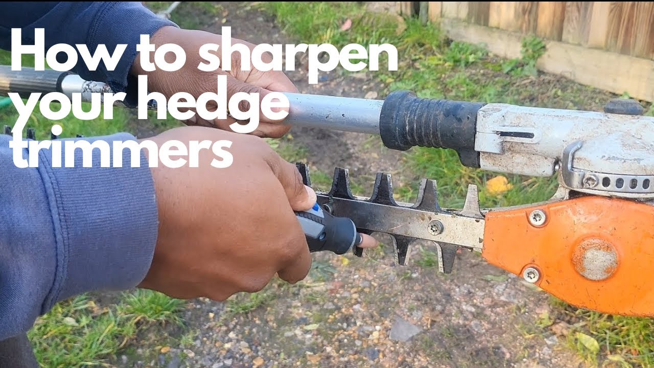 How To Sharpen your Hedge Trimmer Blades (The Easy Way) YouTube