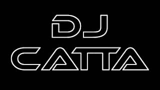 Hardwell Ww Vs. Martin Garrix - Animals Jumper Dj Catta Mashup