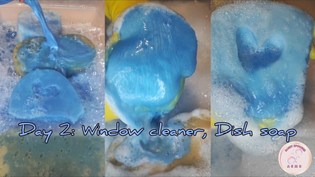 Day 2♻️ 🔹Mica powder & Dish soap mixed with window cleaner 🔹Sudsy rinse 🔹
