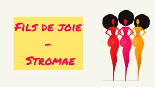 Stromae - Fils de joie (lyrics)