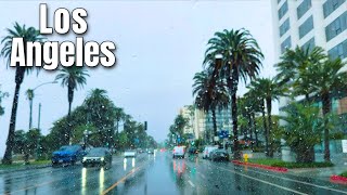 Real Rain in Los Angeles | Ocean Avenue Santa Monica Drive | 4K ASMR | Drive No. 2