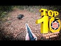 Top 10 rves de chasse n9  juin 2023  edition spciale sangliers dans les bottes