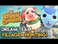 Dream Team Villager Hunting In Animal Crossing New Horizons