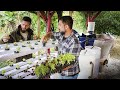 AQUAPONIA: Criando plantas e peixes ao mesmo tempo! - Chácara SV