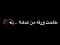 سيف عامر / ورقه تصميم شاشه سوداء بدون