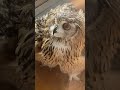 暑い日のシャワー最高