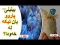 پاروو تیکە چییە لەخەودا