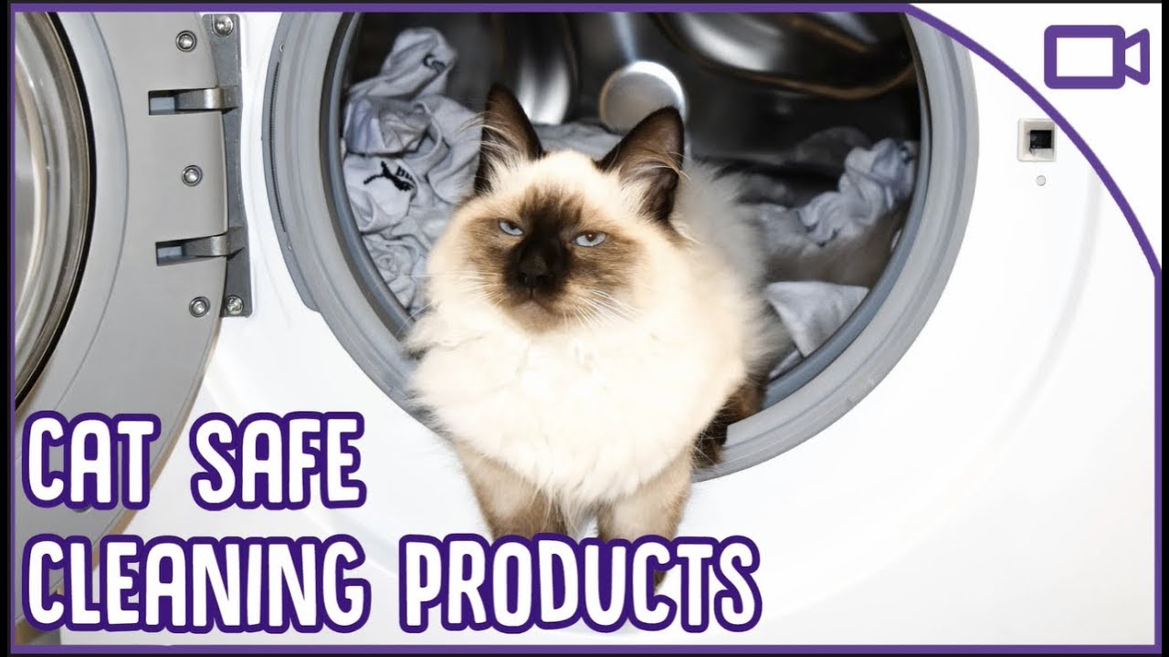 Cat Safe Cleaning Products: Toxic Products To Cats