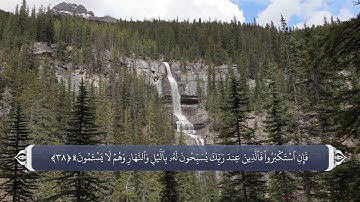 سجده های تلاوت در قران_سوره فصلت آیه 37 و 38