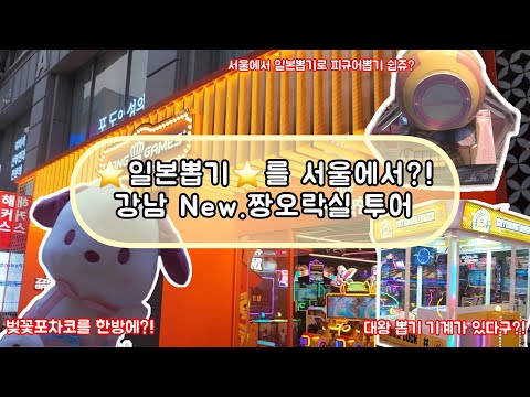 강남 NEW 짱오락실 오픈! 짱오락실에 새로운 뽑기 등장! 바로 공략 들어갑니다! 서울 NEW 짱오락실 공개! 썸네일