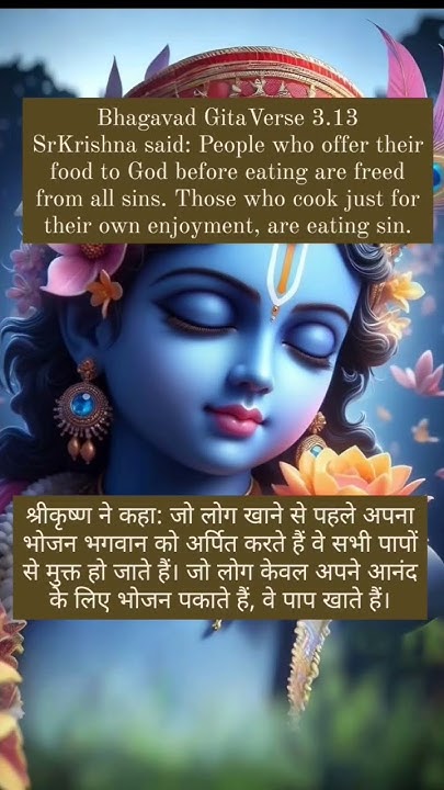 Bhagavad Gita Chapter 3 Verse 13 Sanskrit Verse In Description scripture-breakdown-and-harmonizing-john-chapter-3-verse-13-and-no