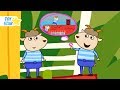 Dolly&#39;s Stories | Brother&#39;s ideas | New Cartoon for Kids | Episode #55