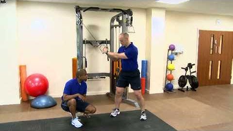 Cable Woodchop (High to Low)