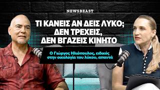 Τι κάνεις αν δεις λύκο; Δεν τρέχεις, δεν βγάζεις κινητό - Ειδικός στην οικολογία του λύκου απαντά