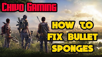The Division 2 ft Chivo Gaming...How to fix bullet sponges...Ongoing Directive...Let
