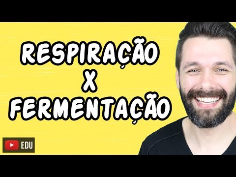 Vídeo: Diferença Entre A Fermentação Aeróbia E Anaeróbia