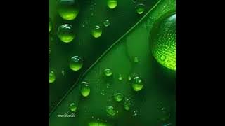 Whizzkid - Percayalah (Lirik)