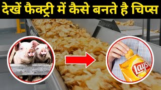 देखें कैसे फैक्ट्री में सूअर के मास से बनते है चिप्स | Products Made In Factory | Gyaan Expert