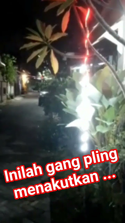 Gang jln ini pling dhindari tuk dlewati Krn sering muncul si poci 👻👻👻