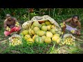 Mango Bush In The Countryside (ORIGINAL LIVING Video production)