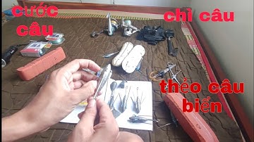 Hướng dẫn chọn Lưỡi câu Chì câu Cước câu và Thẻo câu cá biển bạt bãi gần bờ