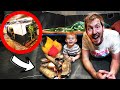 CAMPING IN OUR BASEMENT! *dad vlogs*