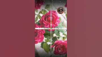 سورة البروج