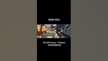 DL Q33 Lotus - Flames Attachments