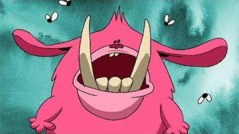 (Official) Best of Kiwi