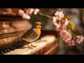 Soft Piano &amp; Early Spring Birds (4K Spatial Audio) 🐦 Calming Music for Focus &amp; Productivity