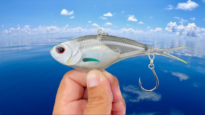 The Hottest Saltwater Lure of 2023 - The Nomad Squidtrex 95g on