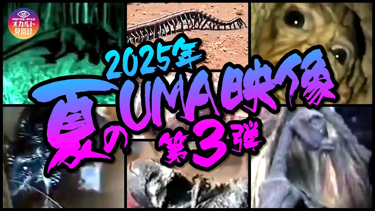 【映像】2025年 夏のUMA映像 第3弾