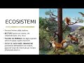 La BIOSFERA, gli ECOSISTEMI e gli HABITAT