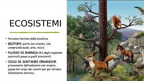 Che cos'è la biosfera scuola primaria?