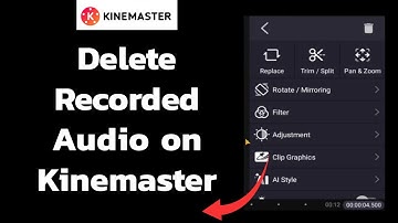 How to Delete Any Recorded Audio Clip from Your Timeline on KineMaster App? 2024