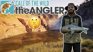 Fishing ASMR | Fishing in South Africa Reserve! | (Call of the Wild: The Angler)