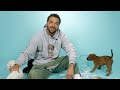 Jesse Williams Plays With Puppies While Answering Fan Questions