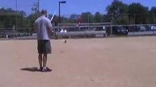 Blade CP Pro - First Flight
