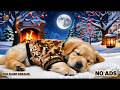 12 Hours of Dog Relaxing Music 🐕 Anxiety Relief for Dogs 🎧Peaceful Deep Sleep 🌙 No Ads
