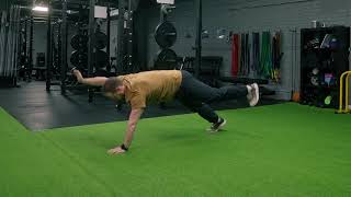 Alternating Two-Point Plank - Exercise Demo