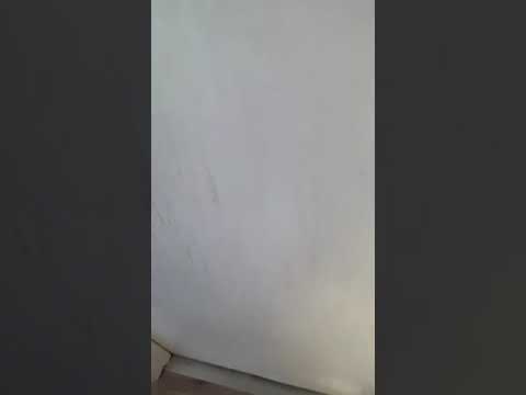 4802 Walsh studio, East Chicago, IN home video tour