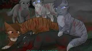 Топ 18 Печальных Смертей Котов Воителей. (описание) Топ 18 Печальных Смертей Котов Воителей. (описание)