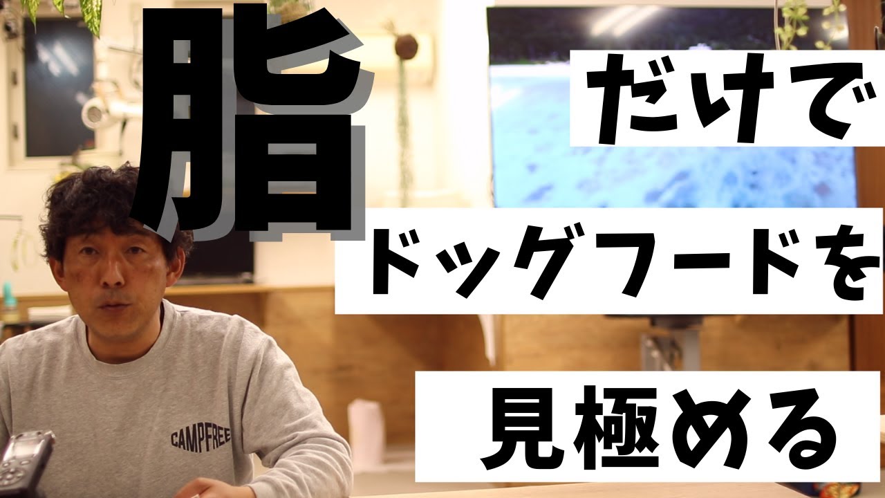 ペットホテル パピーパーティ 犬の保育園 Dog Nursery Dog Diamond ドッグダイヤモンド Food Goods