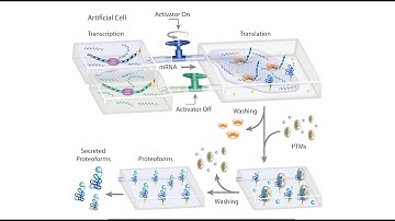 An Artificial Cell On-A-Chip