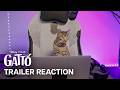 REAL CATS REACT to Pixar's Trailer for Gatto