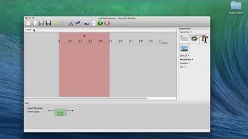 How to Create a Language Experiment Psychopy