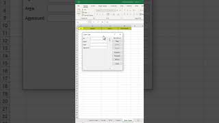 Professional Data Entry Form in Excel