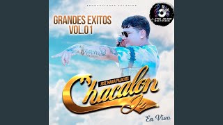 Video thumbnail of "Chacalon Jr - Lloras por Mi Querer (En Vivo)"
