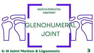 GlenohumeralJoint Motion & Ligaments