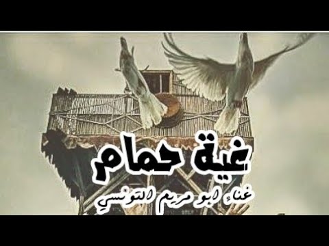 غية حمام اغنيه عن عشق الحمام غناء ابومريم التونسي